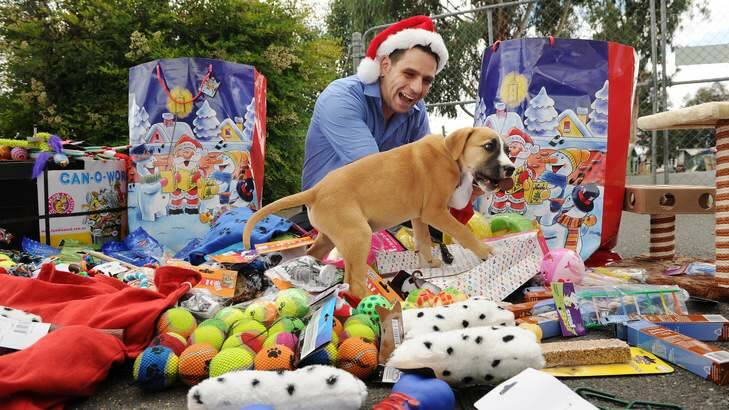 Marco Arquero, a nurse at Canberra Hospital, delivers the Christmas presents to pets at the RSPCA in Weston. Photo: Colleen Petch