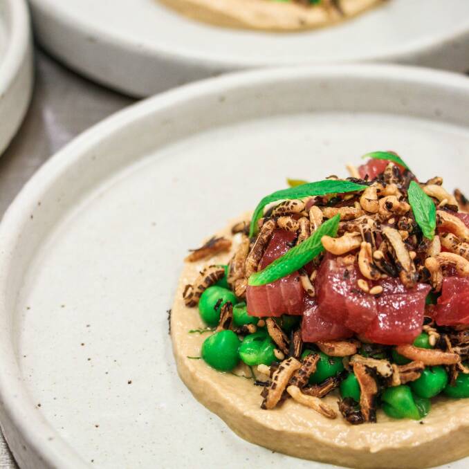 Yellowfin tuna and green peas from Sage Dining Rooms. Photo: Thomas Heinrich