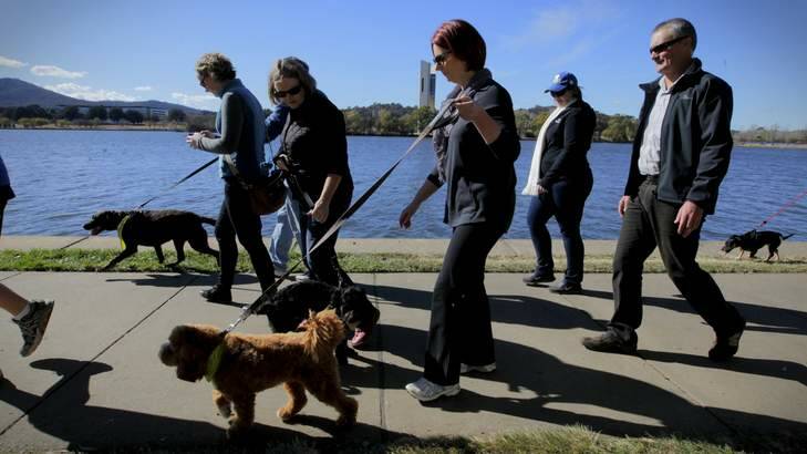 TOP DOG: Julia Gillard and Reuben walk the lake. Photo: Andrew Meares