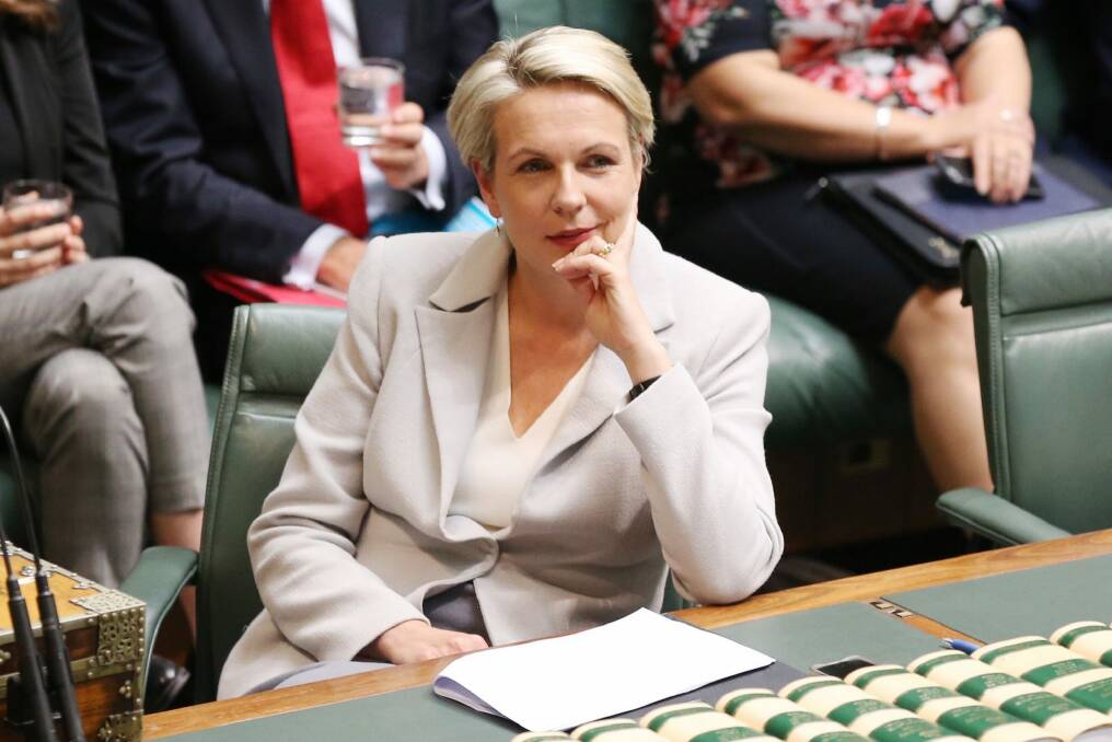 Tanya Plibersek urged Coalition MPs to back Malcolm Turnbull's own previous position of support for a free vote on gay marriage Photo: Andrew Meares