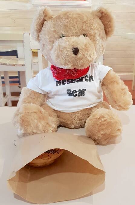 The ANU’s Research Bear stopped for pie at Braidwood on the way to Poohs Corner.  Photo: Toni Eagar