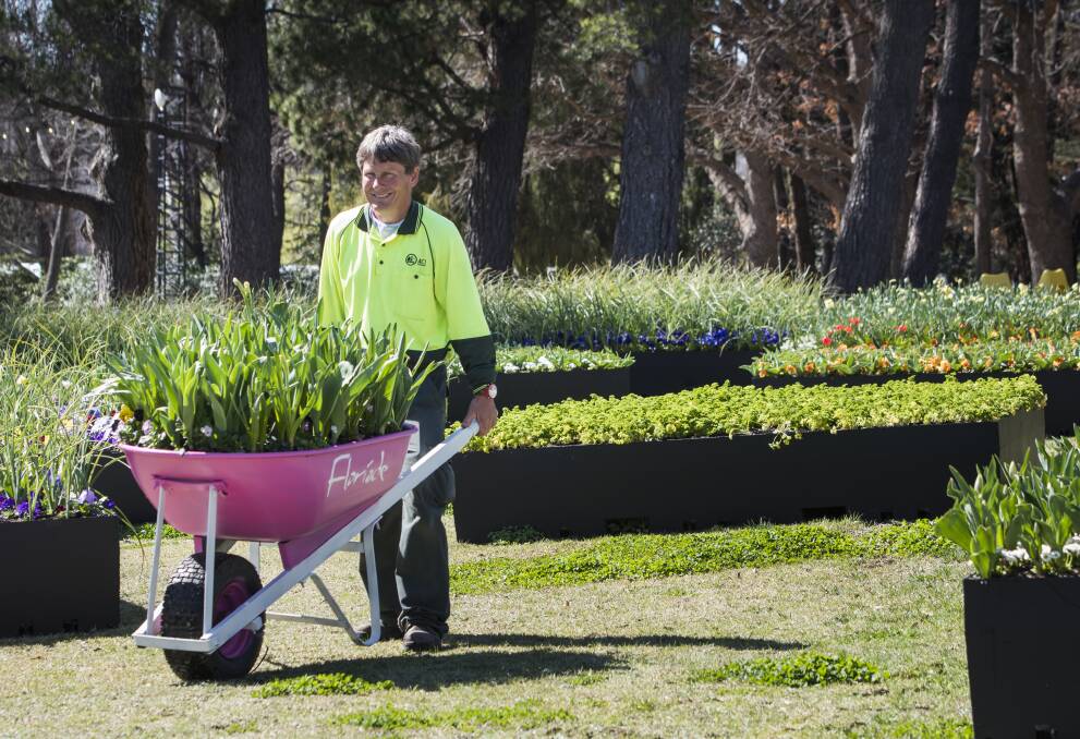 Floriade head gardener Andrew Forster with some examples of the raised flower beds scattered around the venue. Photo: Elesa Kurtz
