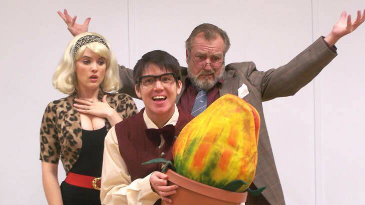 Audrey (Kelly Roberts), Seymour (Will Huang) and Mr Mushnik (Ian Croker)  in "Little Shop of Horrors".