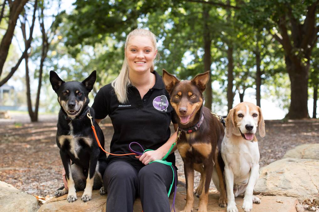 Determined and hand-working: Pups4Fun founder Rhiannon Beach graduated in law and ran the doggy daycare business. Photo: Supplied