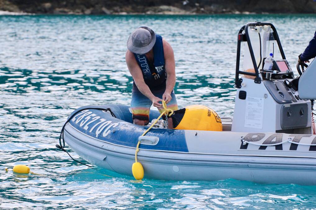 Three drum lines from Cid Bay at Whitsunday Island are being removed after a massive backlash against the Queensland government's shark culling program.  Photo:  HSI-AMCS-N McLachlan