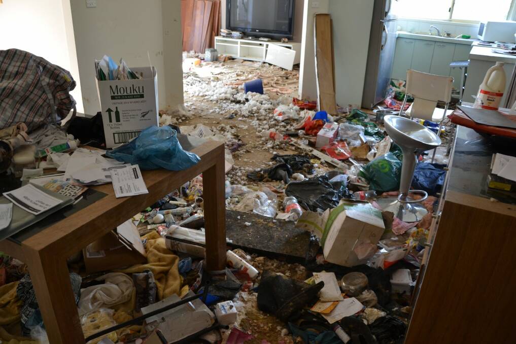 Conditions in a Canberra home where four dogs and a cat were seized in 2014. Photo: Supplied