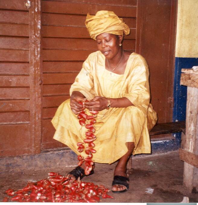 A woman in Sierra Leone with harvested fruits of Grains of Paradise. Photo: Herbie's Spices