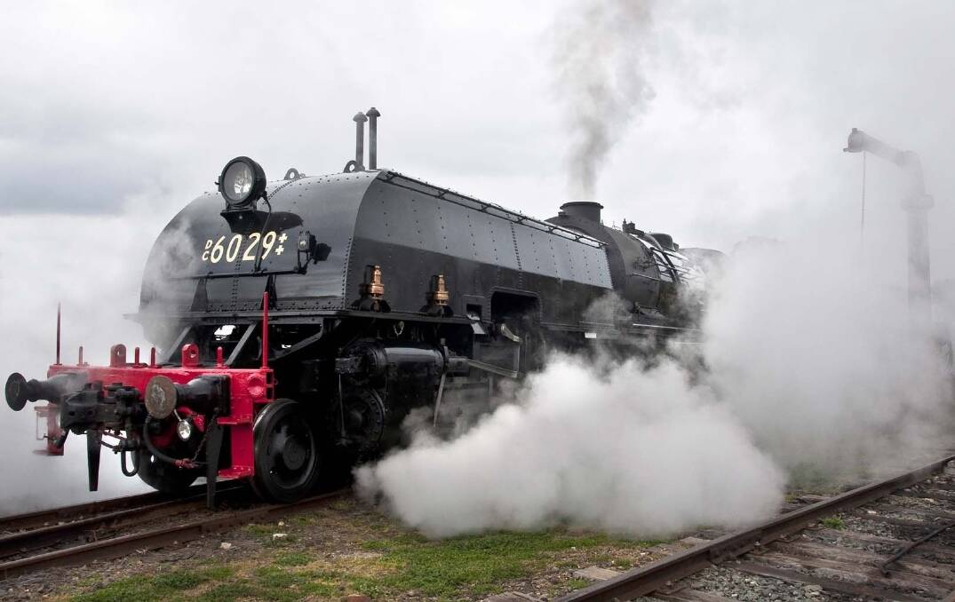 The 'City Of Canberra' the Beyer-Garrat 6029 steam locomotive. Photo: Railway Historical Society