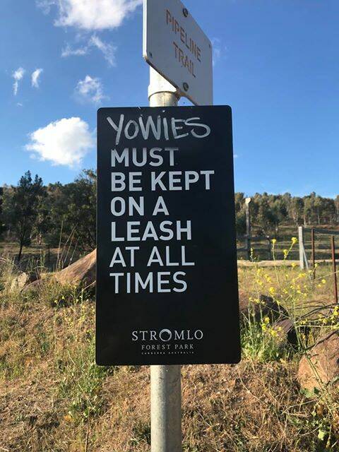 A worrying sign in Stromlo Forest Park. Photo: Kelly Anne Smith