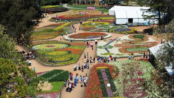 Floriade is a big moneyspinner for the ACT, but its pull as a tourist attraction is on the wane. Photo: Andrew Sheargold