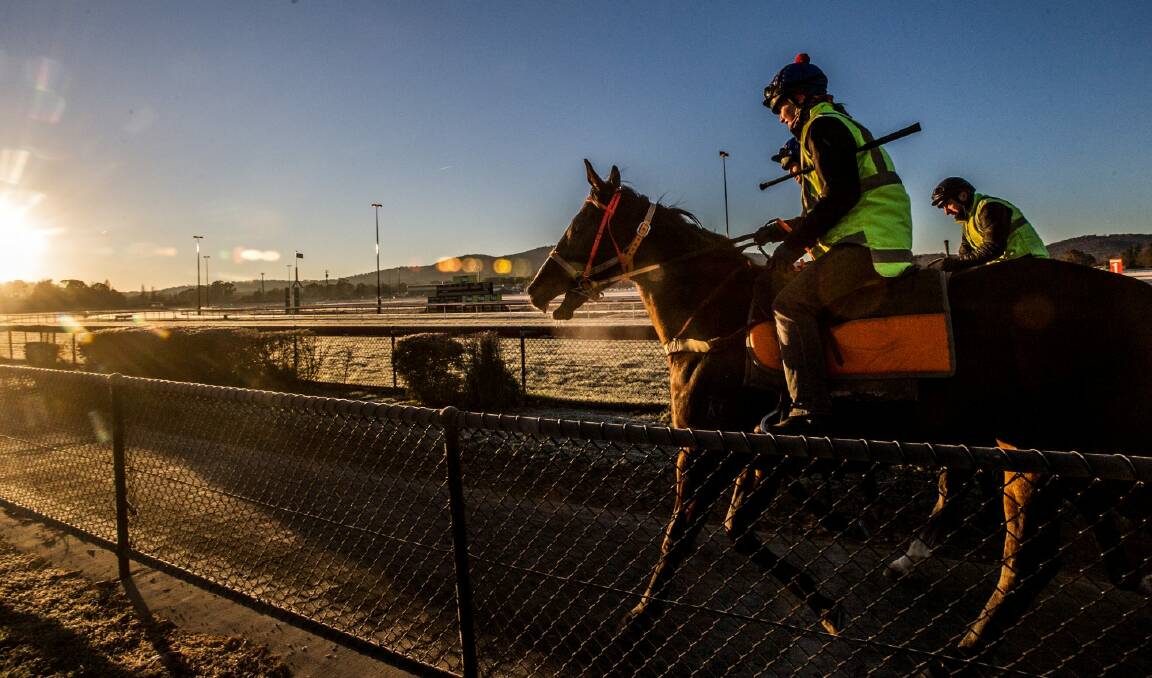 Canberra trainers have been banned from the Highway Handicap. Photo: Karleen Minney