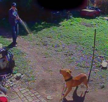 A screenshot from the security vision at the property. Photo: Supplied