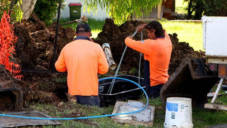 Contractors in Kiama Down on the south coast of NSW, installing the fibre optic cables for the National Broadband Network early last year. Photo: Domino Postiglione