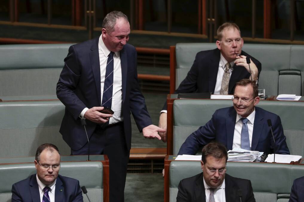 Nationals MP Barnaby Joyce and former prime minister Tony Abbott in conversation at Parliament House.  Photo: Alex Ellinghausen