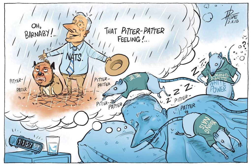 The Canberra Times' editorial cartoon for Friday, November 2, 2018. Photo: David Pope