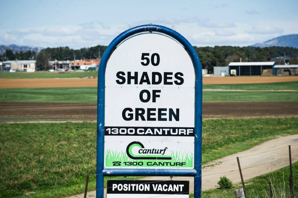 Always the one to capture the zeitgeist, Canturf had this corker of a sign in 2012, not long after the Fifty Shades of Grey potboiler was released. Photo: Rohan Thomson