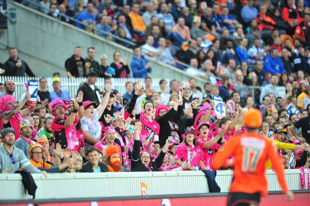 The crowd during the T20 Big Bash League at Manuka oval in Canberra. Photo: Melissa Adams