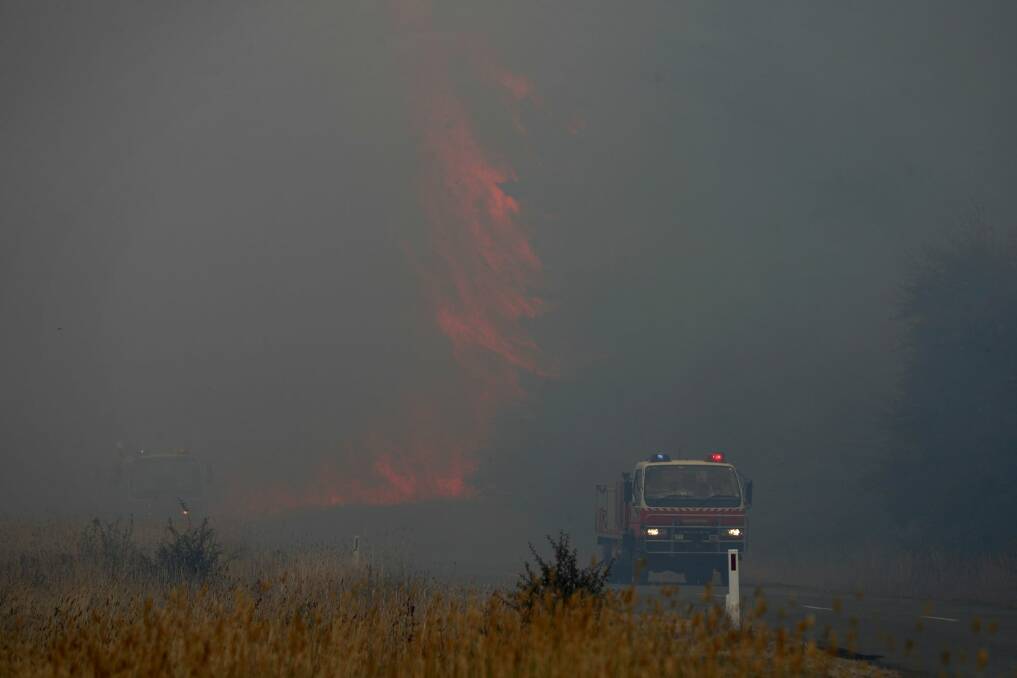 Firefighters responded from as far away as Shoalhaven and the Illawarra. Photo: Alex Ellinghausen