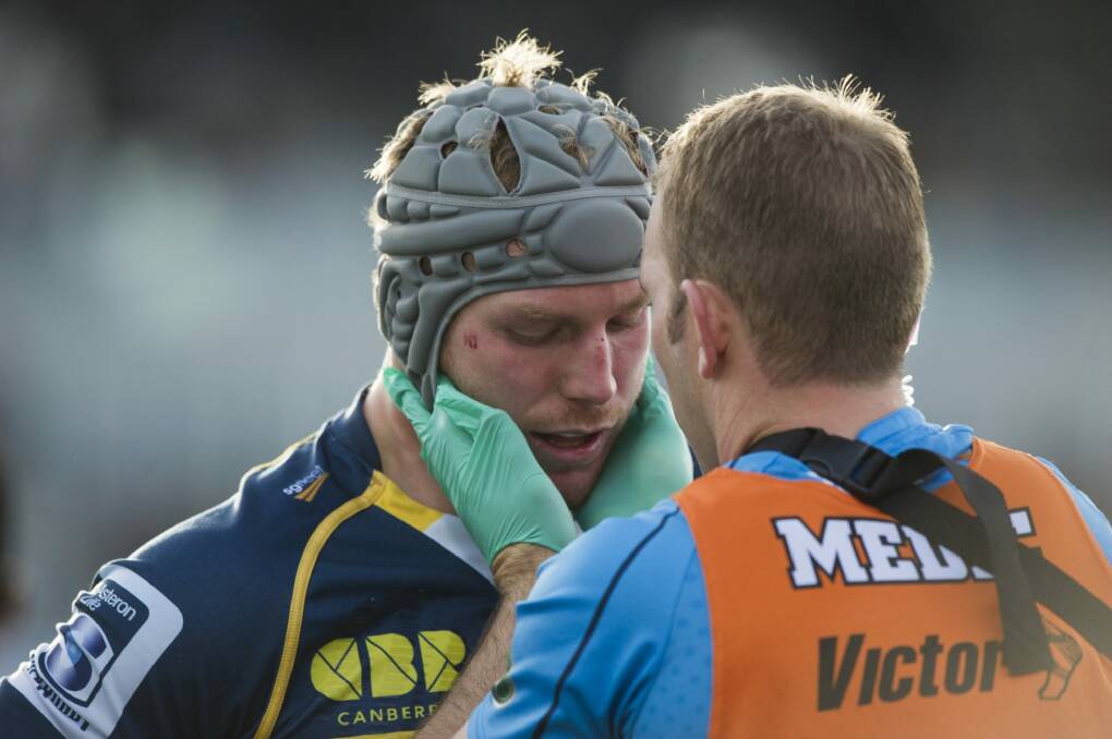 All sports now take a more sensitive approach to head knocks. Photo: Jay Cronan
