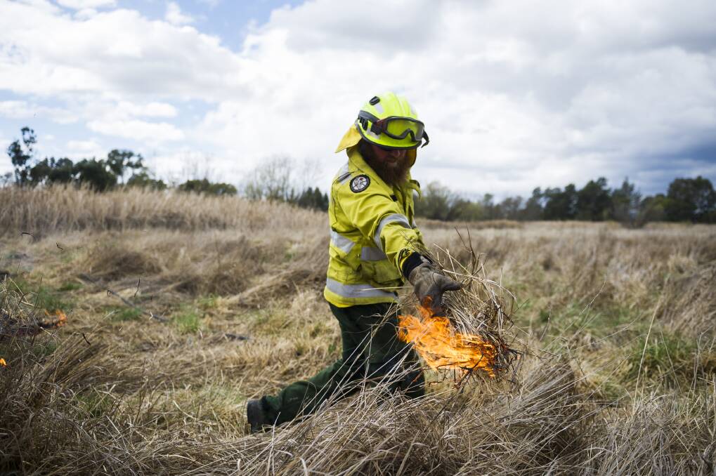 General field officer Brenton Webster spreads fire during a ACT Parks and Conservation  cultural and ecological burn at the Jerrabomberra Wetlands. Photo: Dion Georgopoulos