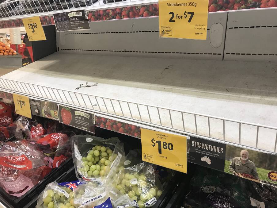 Empty shelves, normally stocked with strawberry punnets, are seen at a Coles supermarket in Brisbane. Photo: AAP/Dan Peled