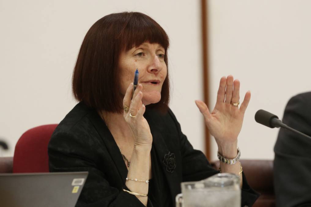 Greens senator Rachel Siewert said the evidence showed the JobActive program was flawed. Photo: Fairfax Media