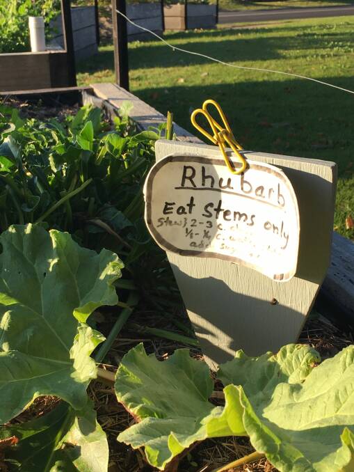 The rhubarb comes with a cooking suggestion. Photo: Kellee Pisanos