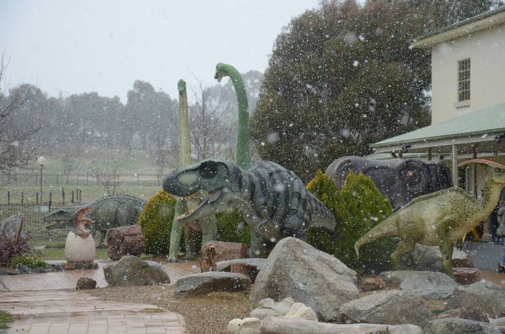 The National Dinosaur Museum has reported an ice age after snowfall Photo: National Dinosaur Museum
