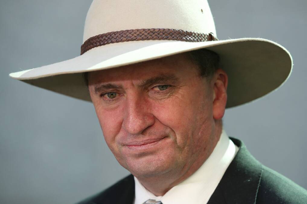 Deputy Prime Minister Barnaby Joyce. Photo: Andrew Meares