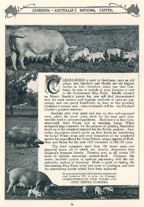 Canberra's Hog Farm tourist attraction, 1934