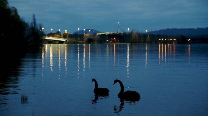 Serene scene: Lake Burley Griffin provides a haven for many species of bird. Photo: Alex Ellinghausen