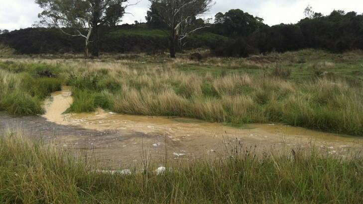 Silt running down Spring Creek into (clear running) Majors Creek. Photo: Supplied