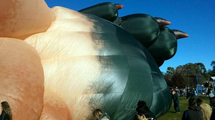 Skywhale is inflated in Weston Creek before her Saturday morning flight. Photo: David Pope