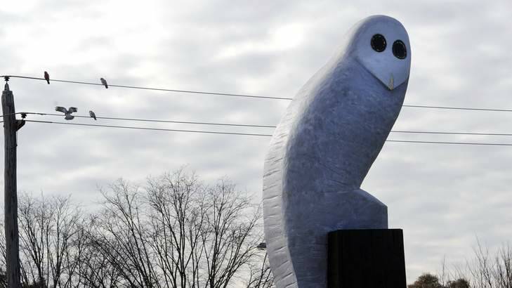 The giant owl sculpture, on the corner of Belconnen Way and Benjamin Way. Photo: Graham Tidy