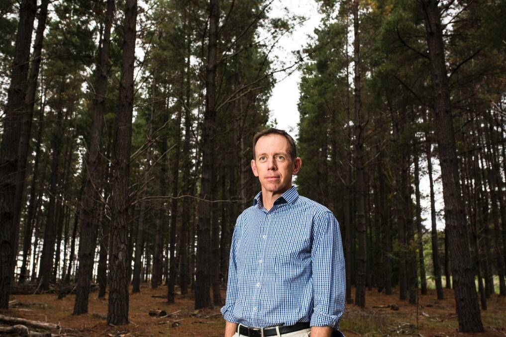Shane Rattenbury has just lodged a motion to stop logging at the Kowen Forest mountain bike trails.  Photo: Jamila Toderas