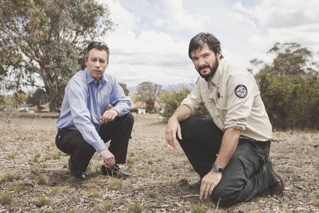 Two cane toads have been discovered in Canberra.
From left, Director of ACT Parks and Conservation Daniel Iglesias, and pest officer Ollie Orgill. Photo: Jamila Toderas