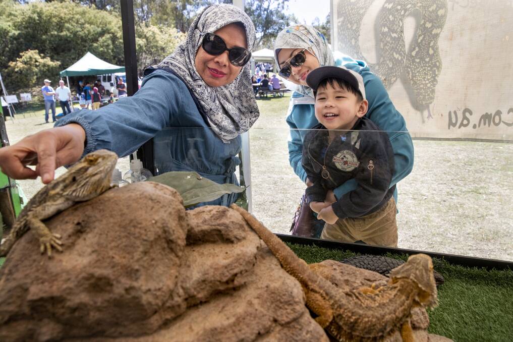 Norzinani M. Zin, Nor Afzan Jemburi, and three-year-old Auff Saufi with reptiles at the Tidbinbilla open day.  Photo: Sitthixay Ditthavong