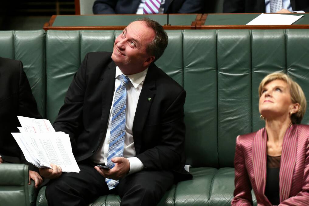 Agriculture Minister Barnaby Joyce and Foreign Affairs Minister Julie Bishop observe a leak from the roof during a storm outside, during Question Time at Parliament House in Canberra. Photo: Alex Ellinghausen
