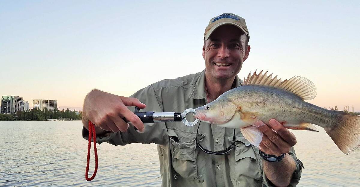 David Vincent with a Golden Perch caught (and released) in Lake Burley Griffin earlier this week. Photo: Mick Kochevatkin