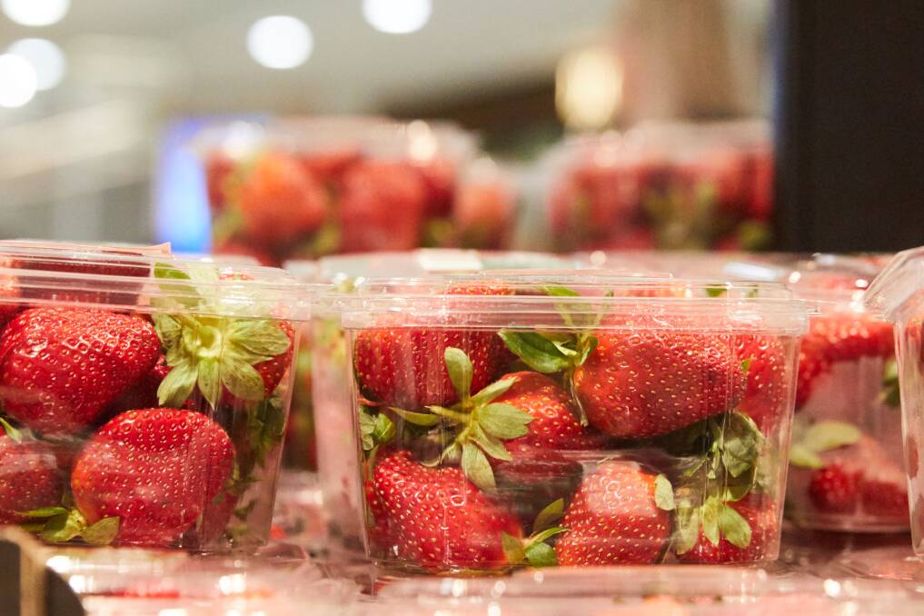 Coles and Aldi have removed strawberries from shelves in all stores nationwide, except for Western Australia. Photo: AAP - Erik Anderson
