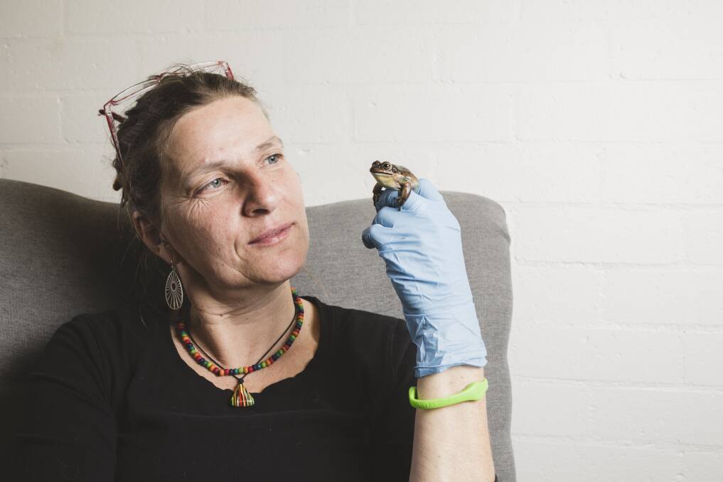 Anke Maria Hoefer of Frogwatch, who have just had their core funding cut by the ACT government. Photo: Jamila Toderas