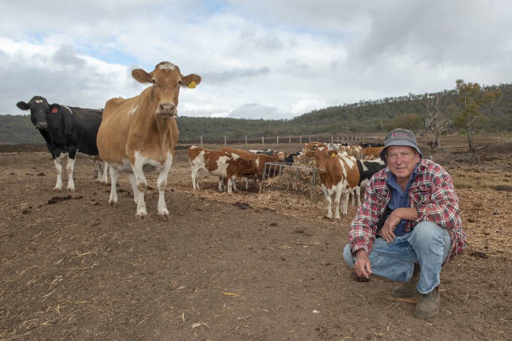 Dairy farmer Brendan Hayden on his drought-stricken property, in Pilton, Queensland (near Toowoomba). Photo: Peter Rickards