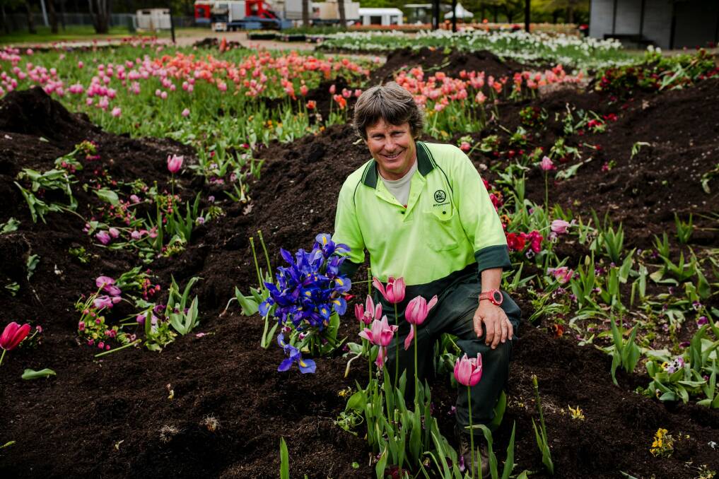 Floriade has ended for another year. Floriade head gardener Andrew Forster.  Photo: Jamila Toderas