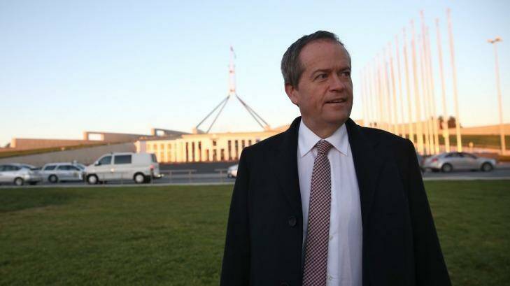 Opposition Leader Bill Shorten says Tony Abbott is unlikely to call an election over the unpopular budget. Photo: Alex Ellinghausen