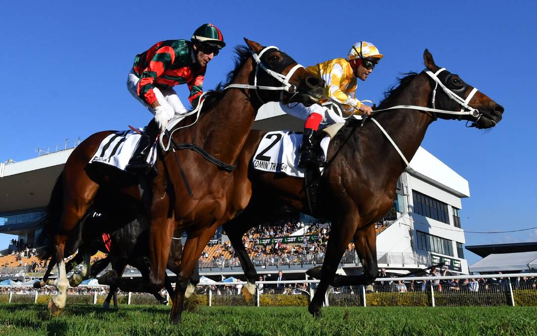 Golden moment: Michael Walker pushes Comin' Through past stablemate Egg Tart to win the Doomben Cup. Photo: AAP