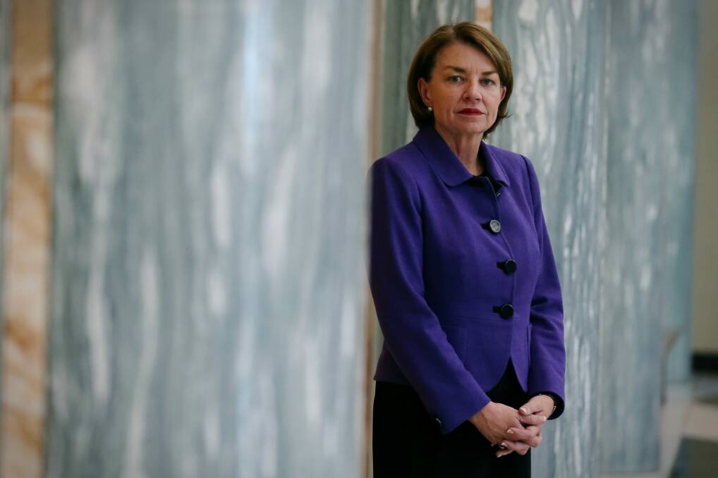 Australian Bankers Association chief executive Anna Bligh blamed the levy for a slump in bank shares. Photo: Alex Ellinghausen