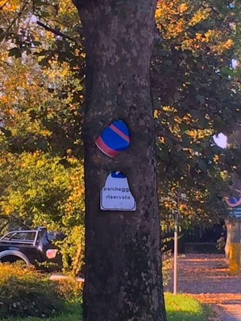 A good excuse for a parking fine – the tree ate the sign! Photo: Laura Fuhrman