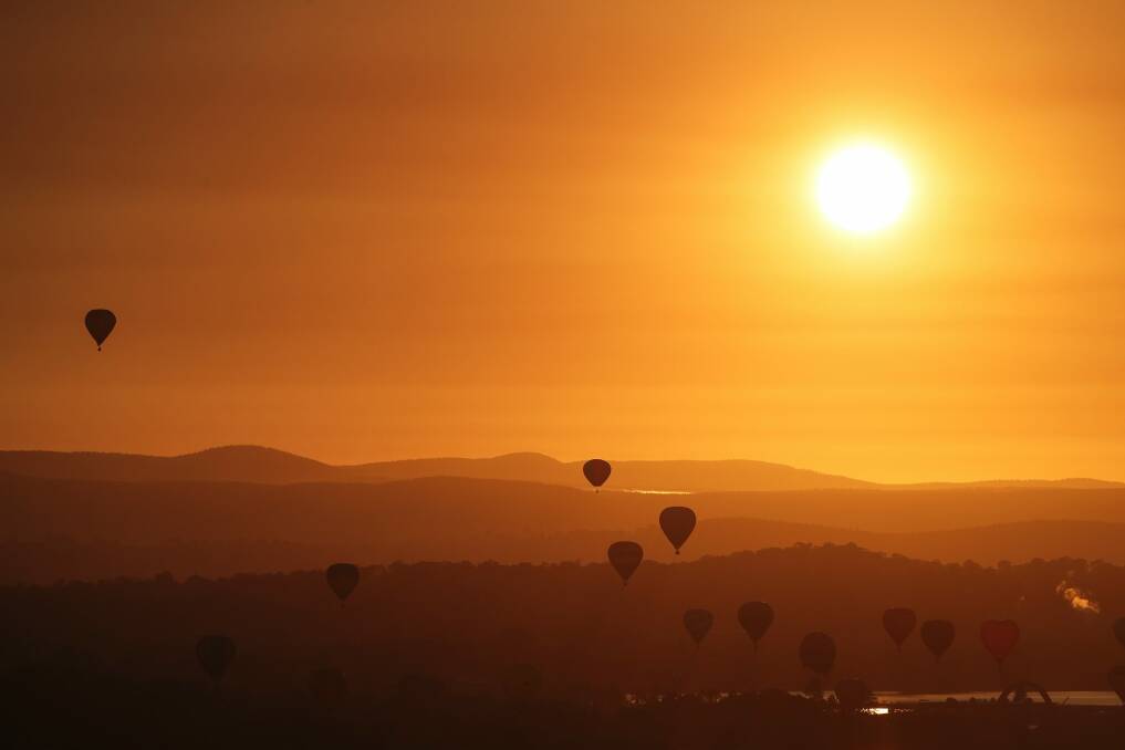 Hot air balloons during sunrise over Canberra in March 2018. Photo: Alex Ellinghausen