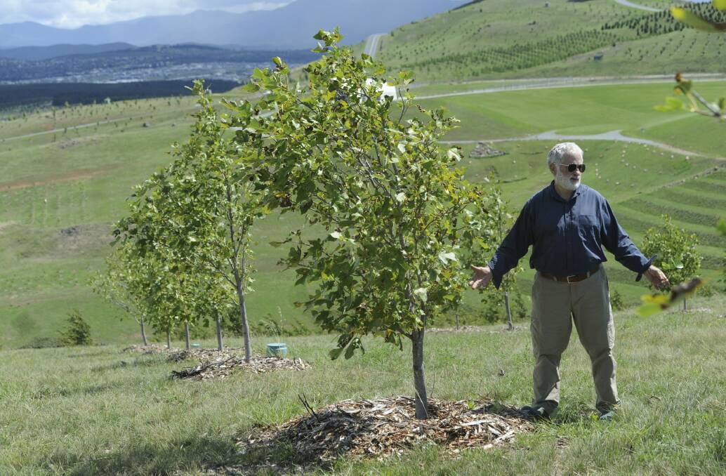Peter Marshall, a forester with 40 years' experience, is concerned about the way many species of trees at the arboretum have been planted. He is pictured among the forest of Chinese tulip trees. Photo: Graham Tidy
