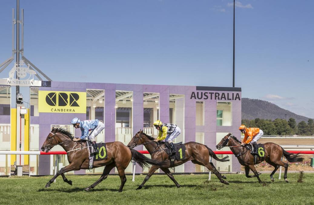 Snippets Land wins the Mercedes Benz Canberra National Sprint from Mighty Lucky. Photo: Matt Bedford